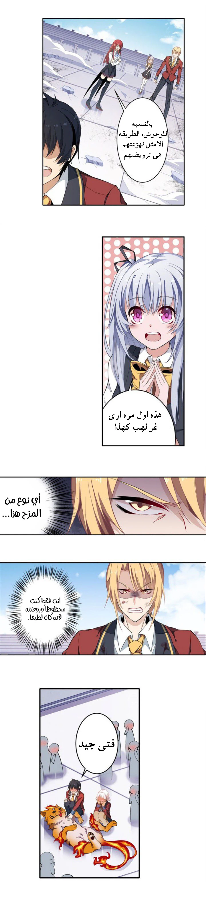 Chapter Image 4