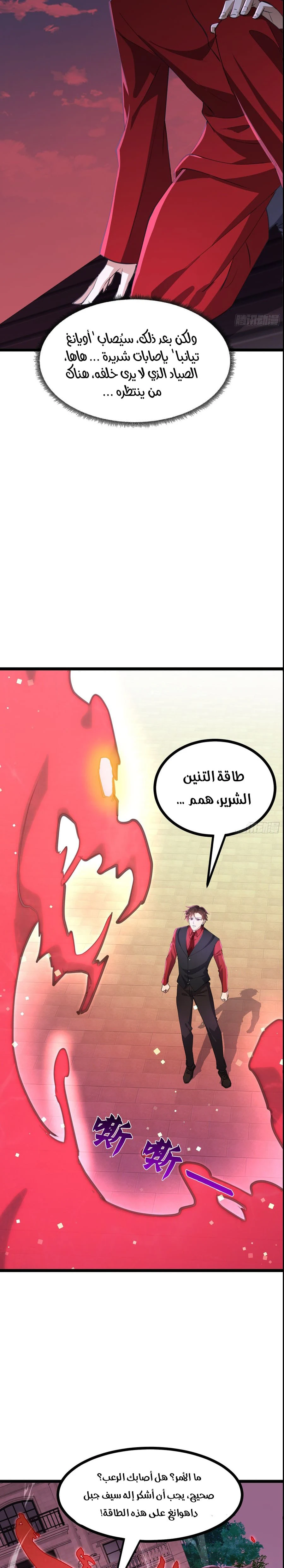 Chapter Image 11