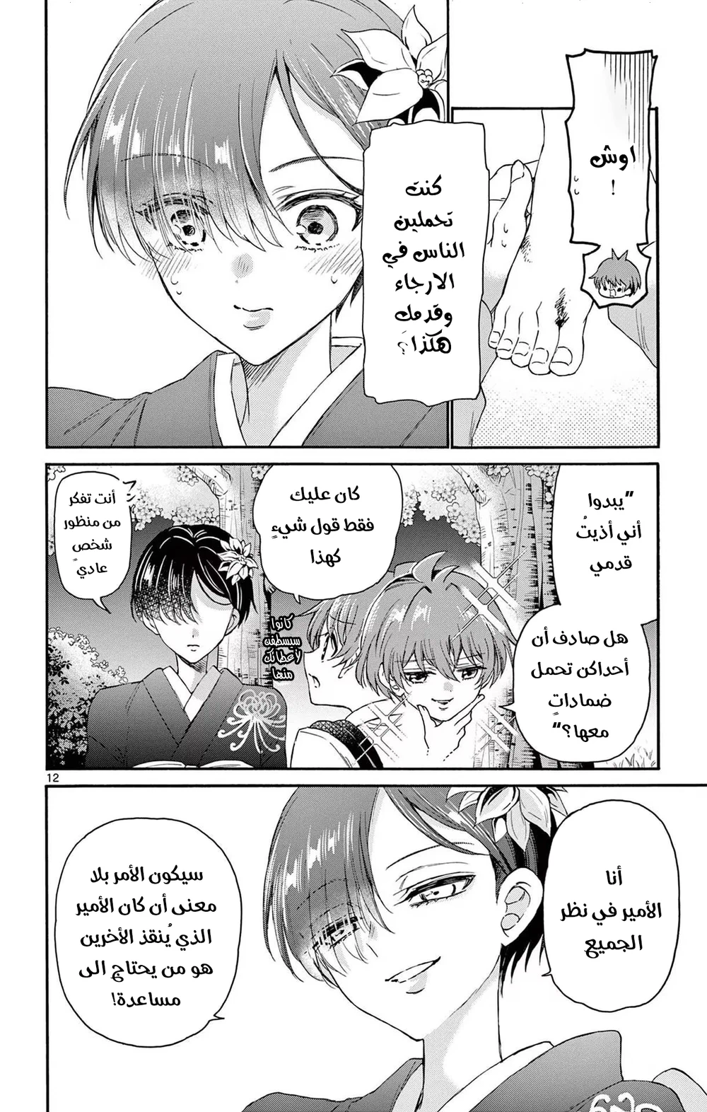 Chapter Image 13
