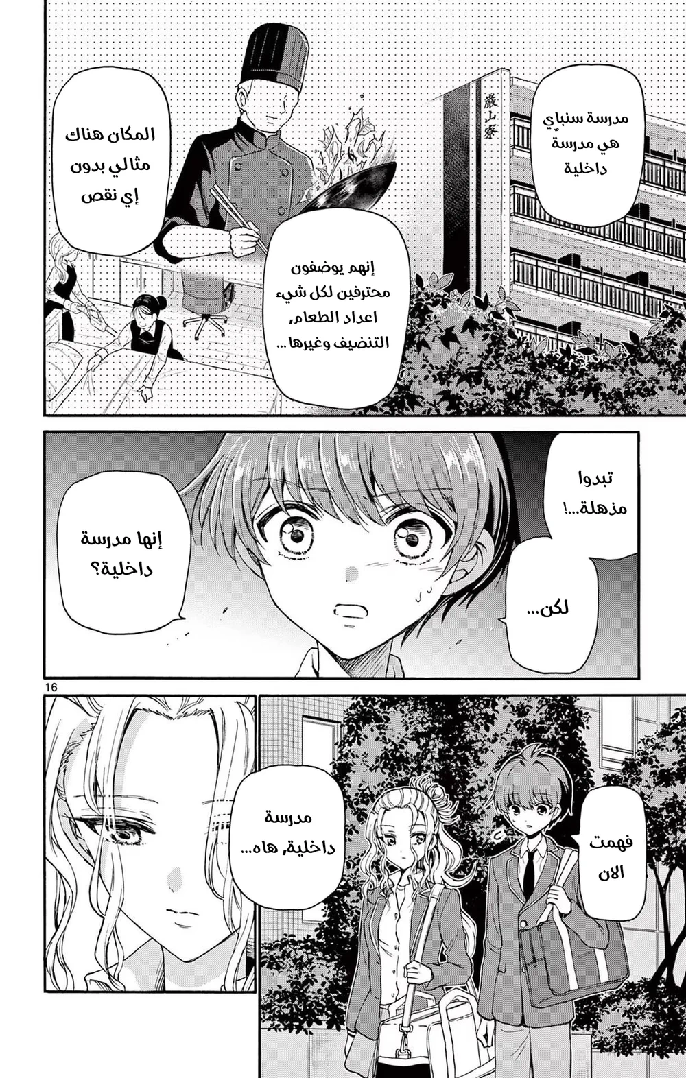 Chapter Image 17