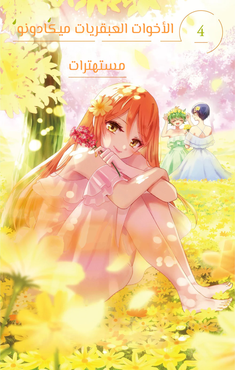 Chapter Image 2