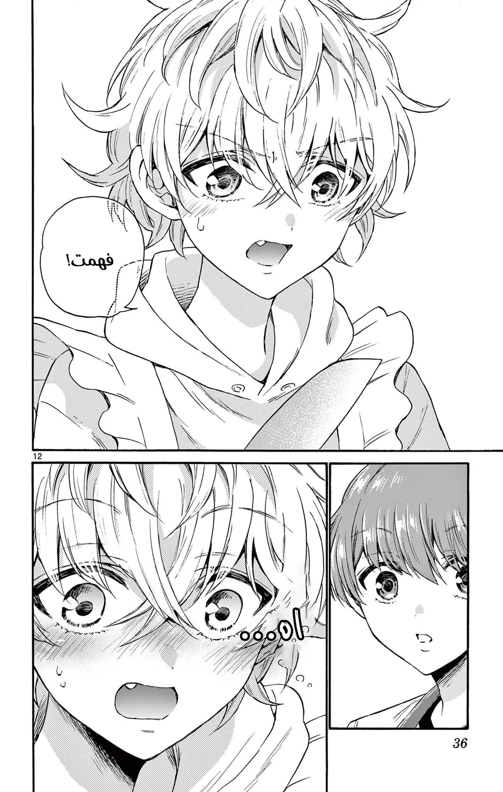 Chapter Image 13