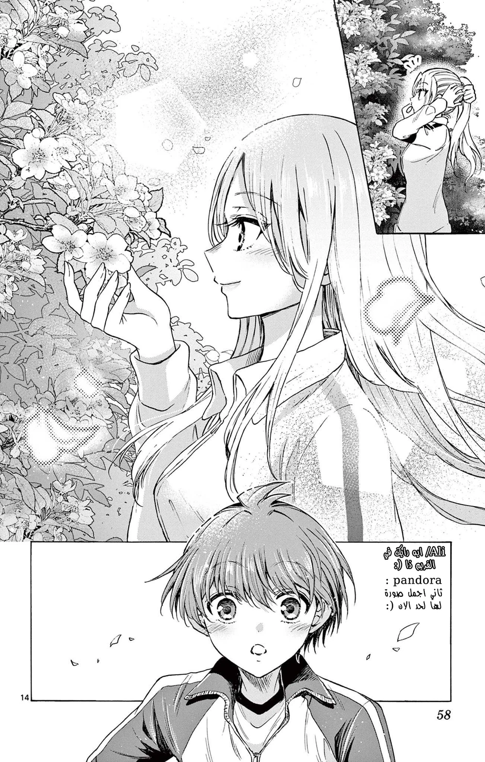 Chapter Image 15