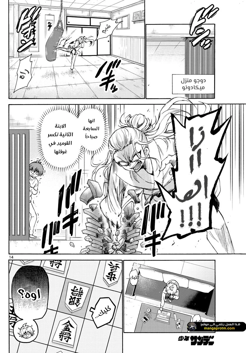 Chapter Image 14