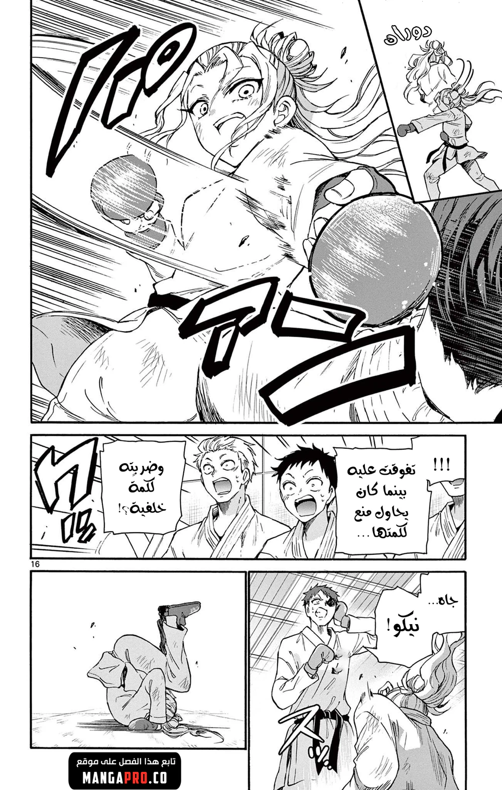 Chapter Image 17