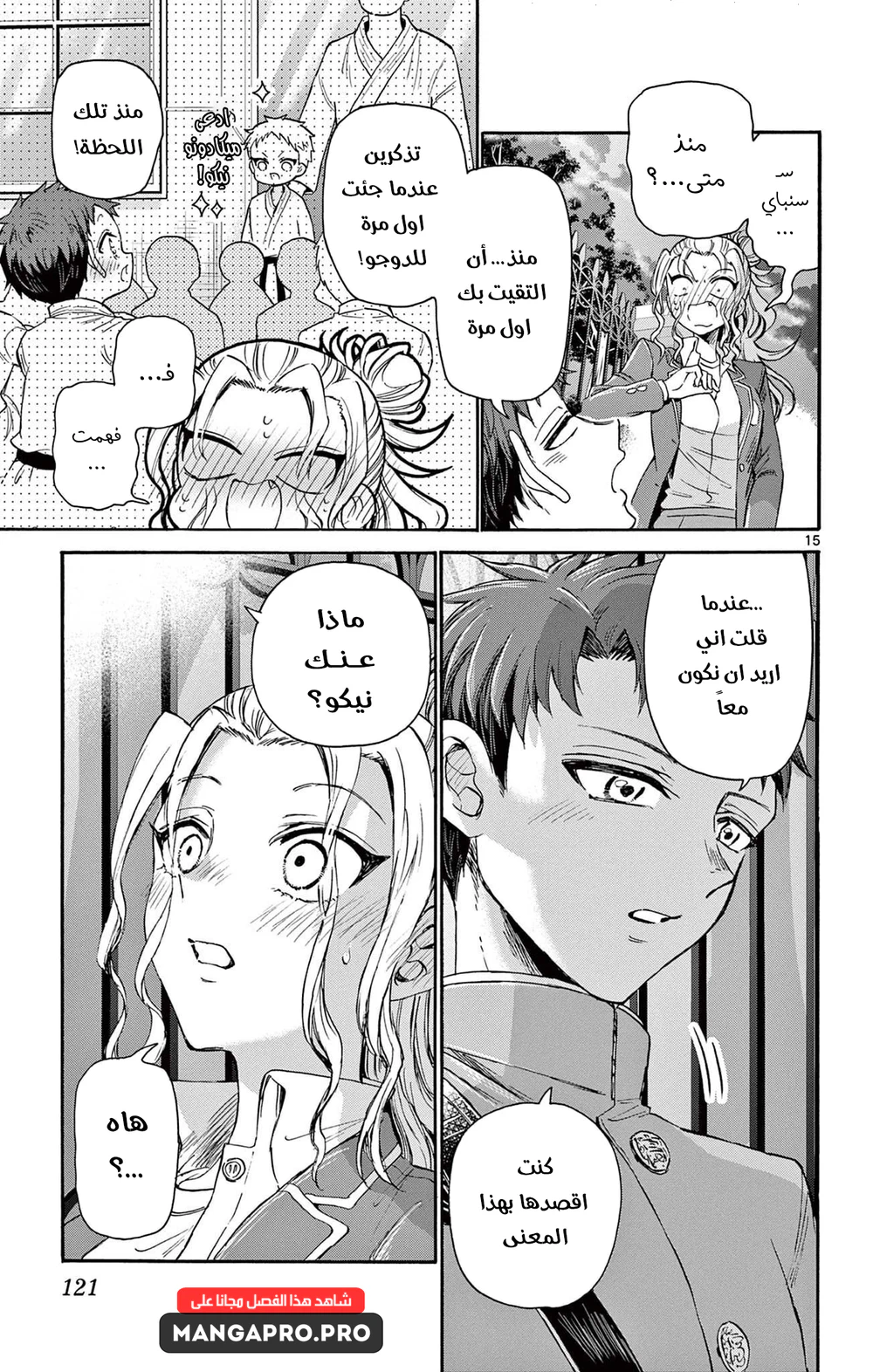 Chapter Image 16