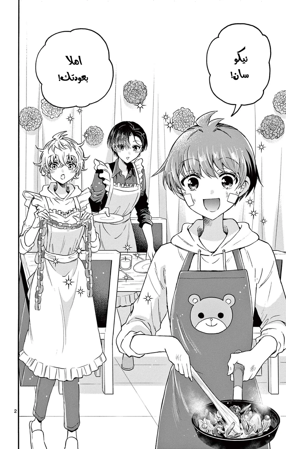 Chapter Image 3
