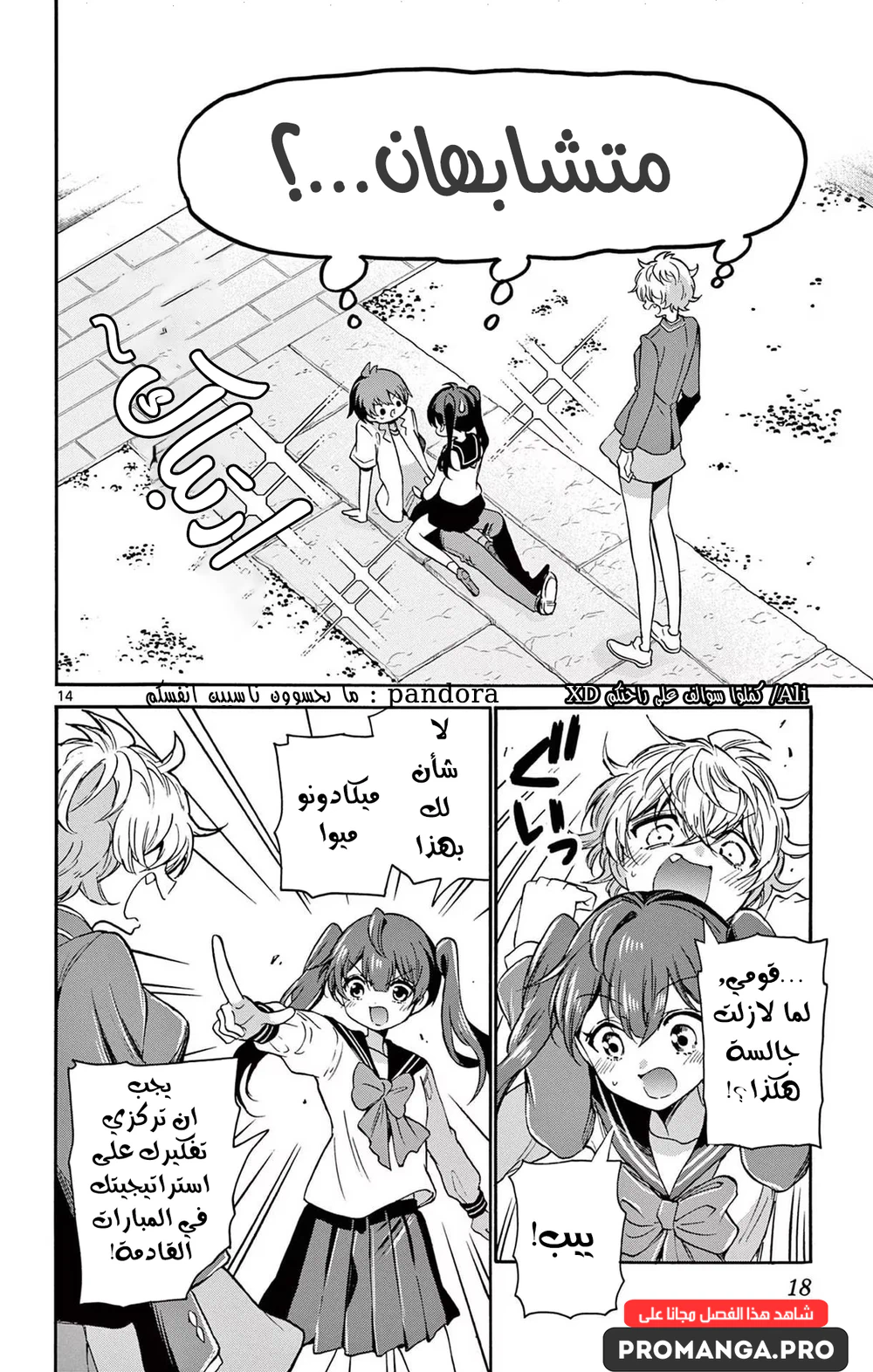 Chapter Image 17