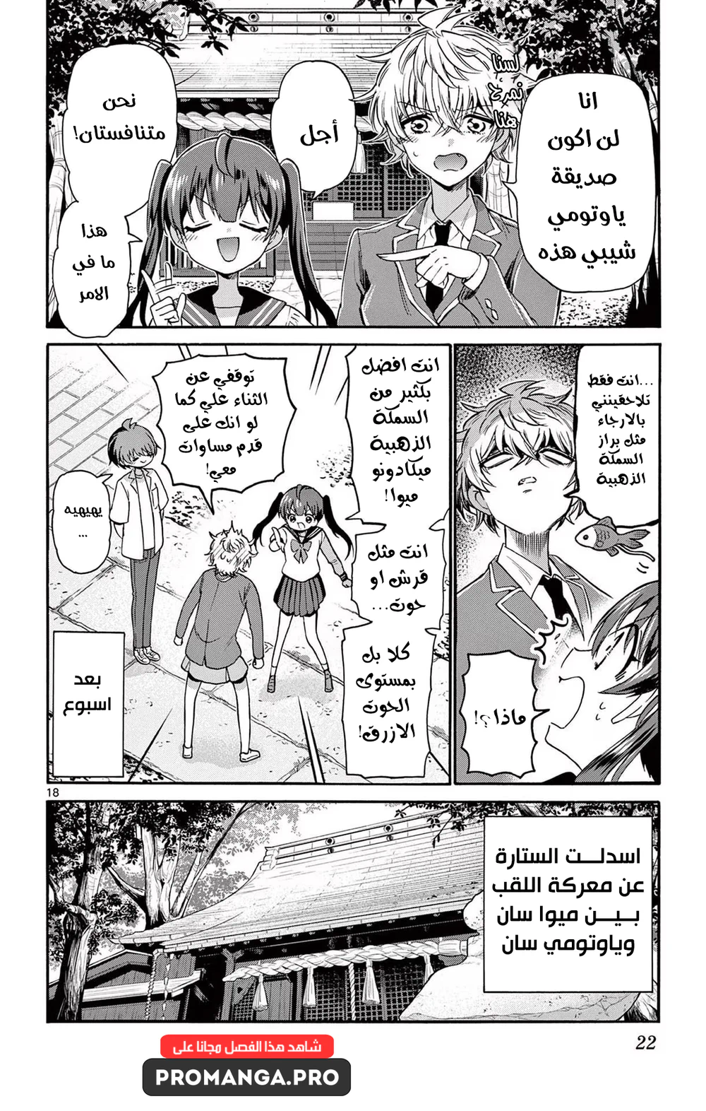 Chapter Image 21