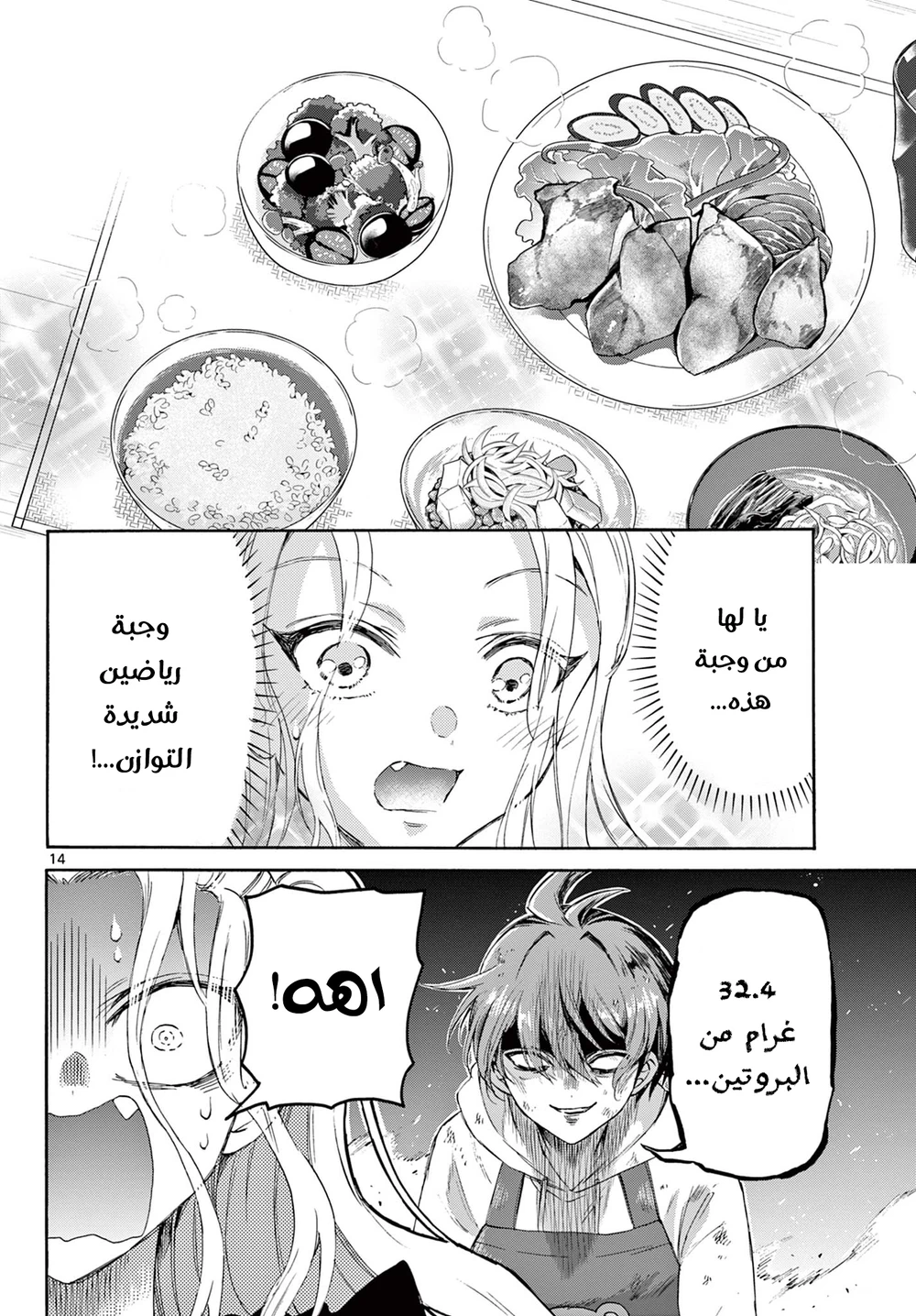 Chapter Image 14