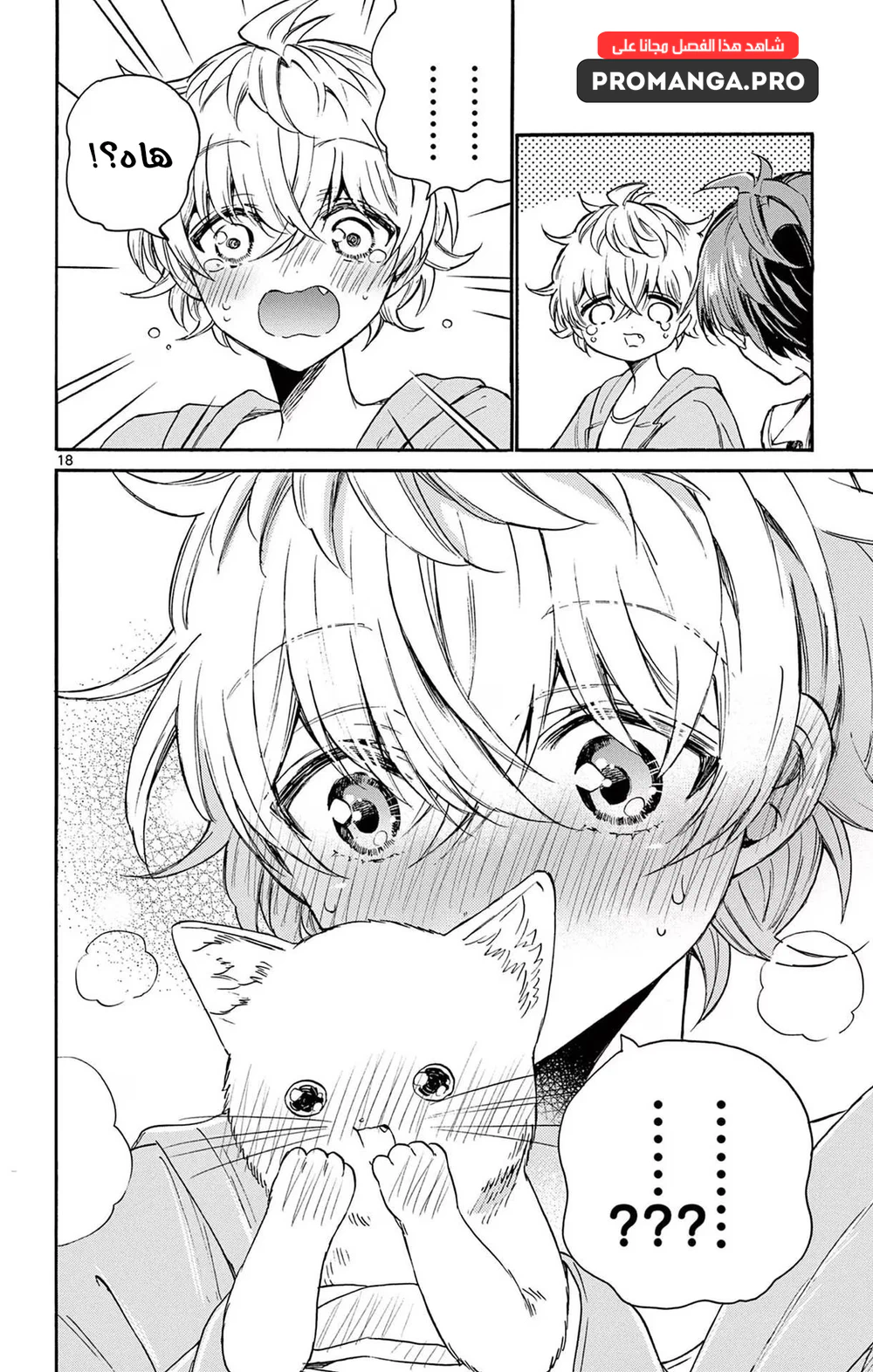 Chapter Image 20