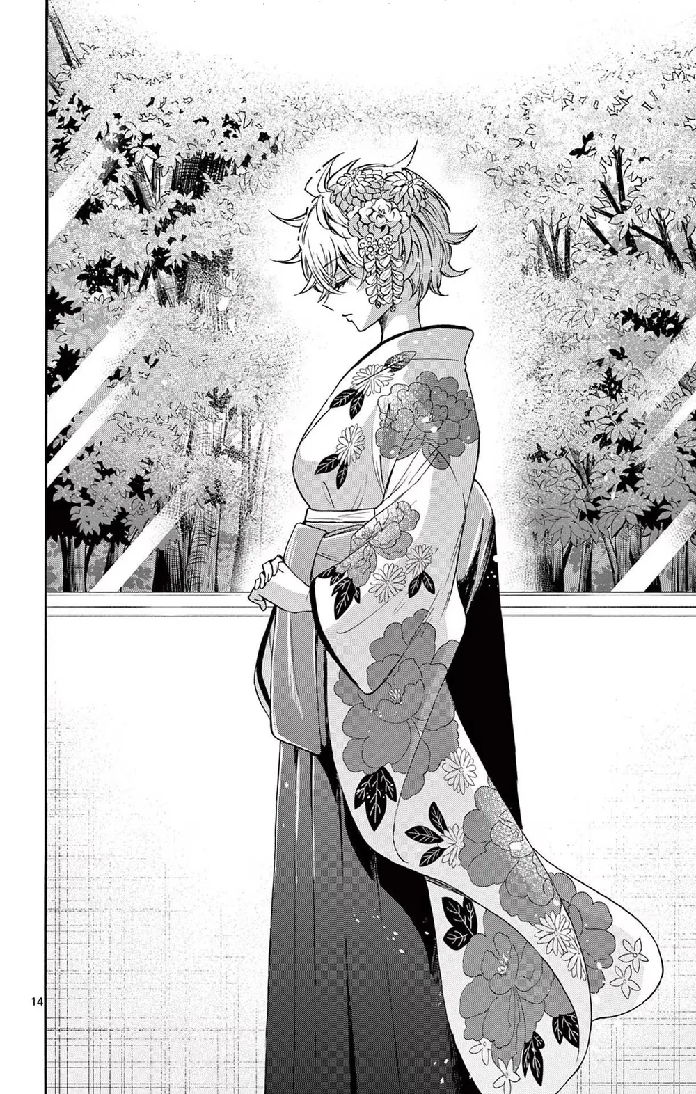Chapter Image 15