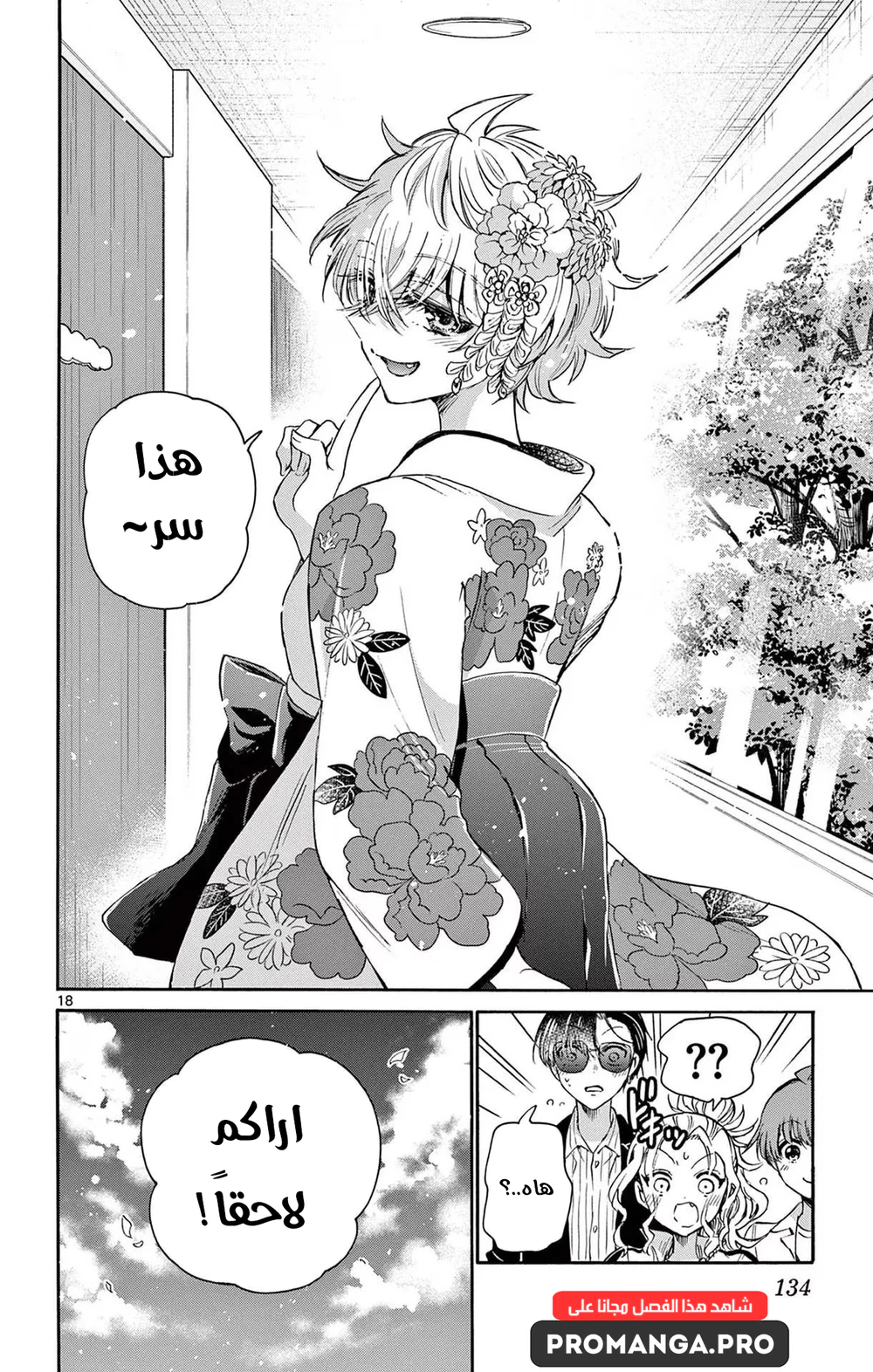 Chapter Image 19