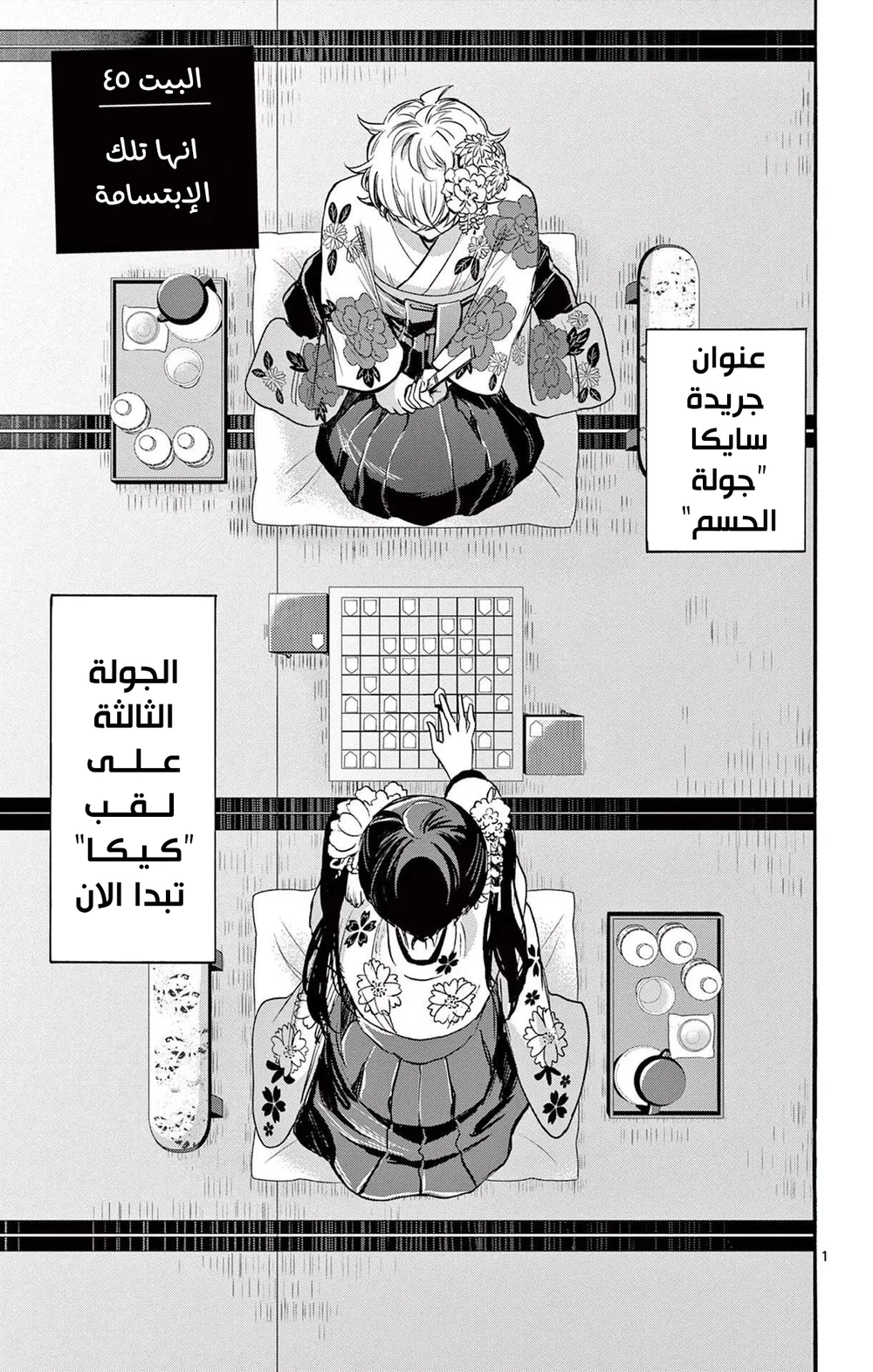 Chapter Image 2