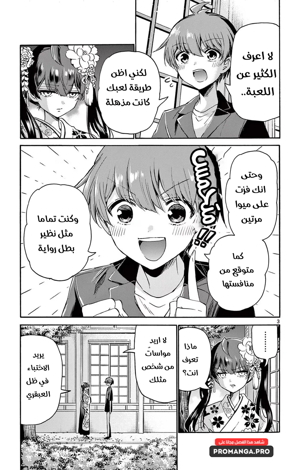 Chapter Image 4