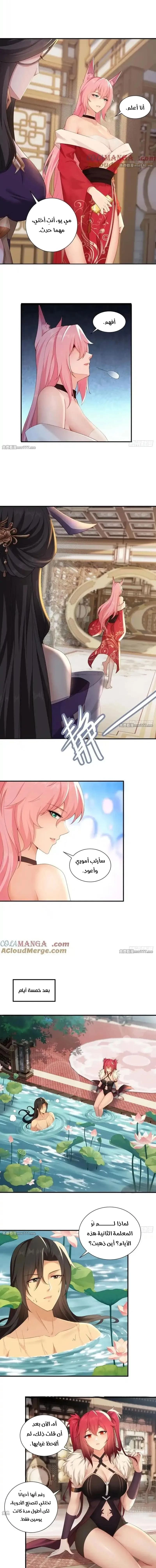 Chapter Image 5
