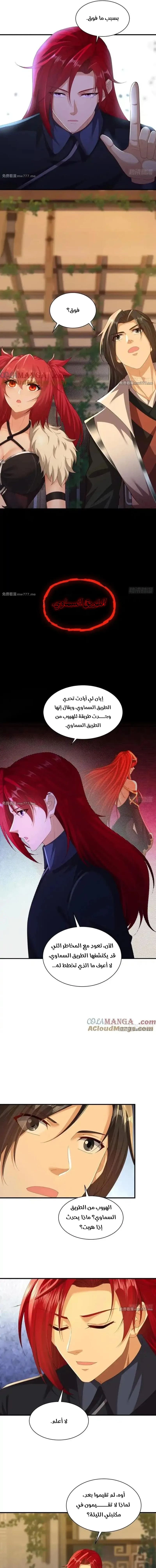 Chapter Image 5