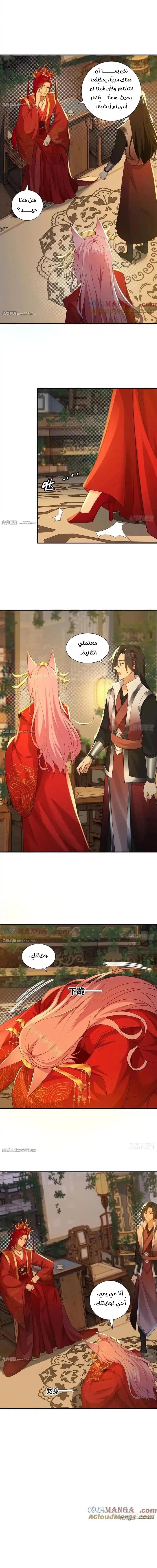 Chapter Image 7