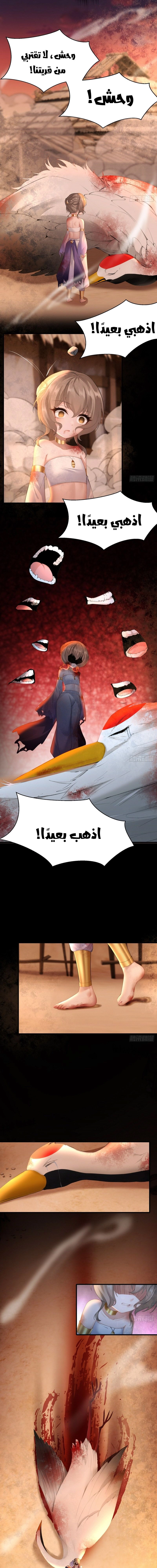 Chapter Image 9