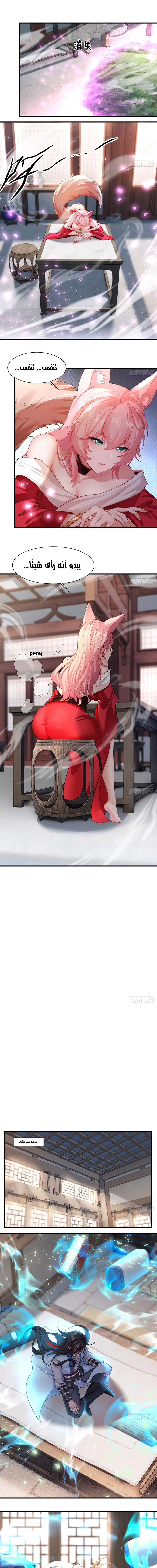 Chapter Image 5