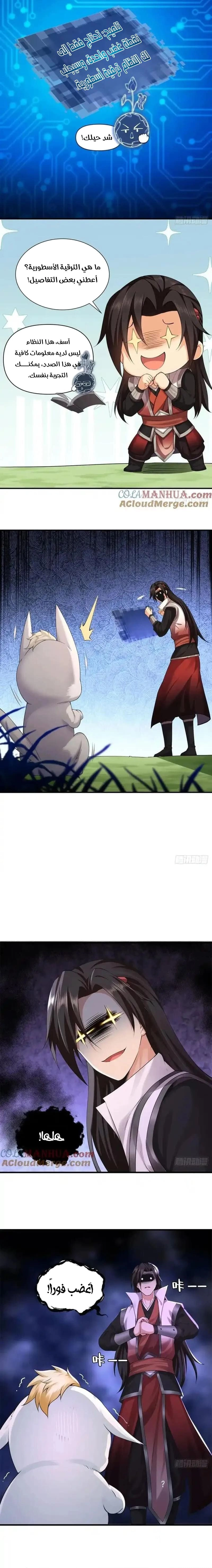 Chapter Image 4