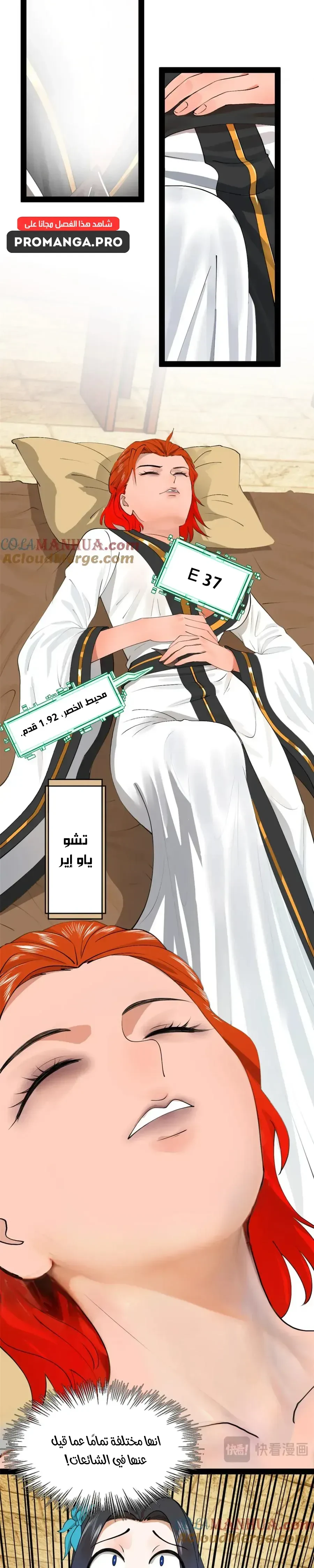Chapter Image 8