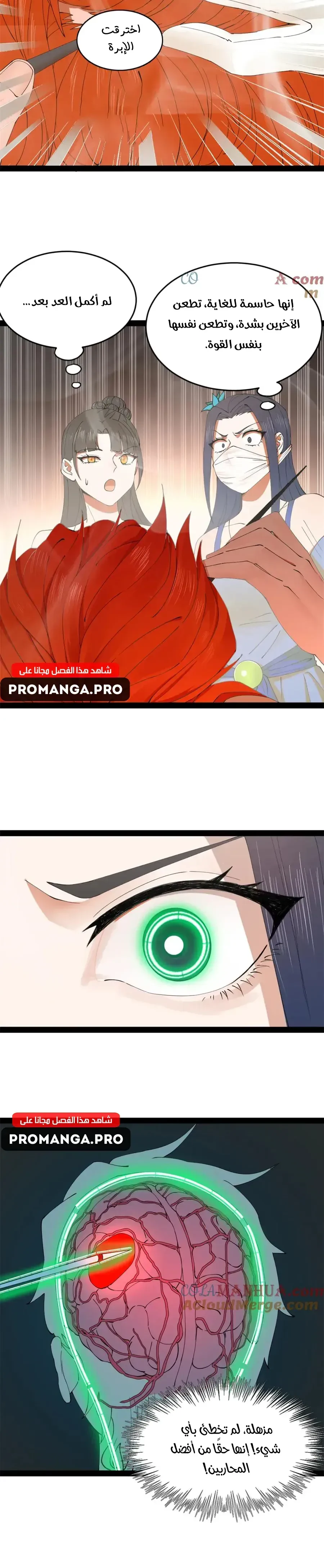 Chapter Image 10