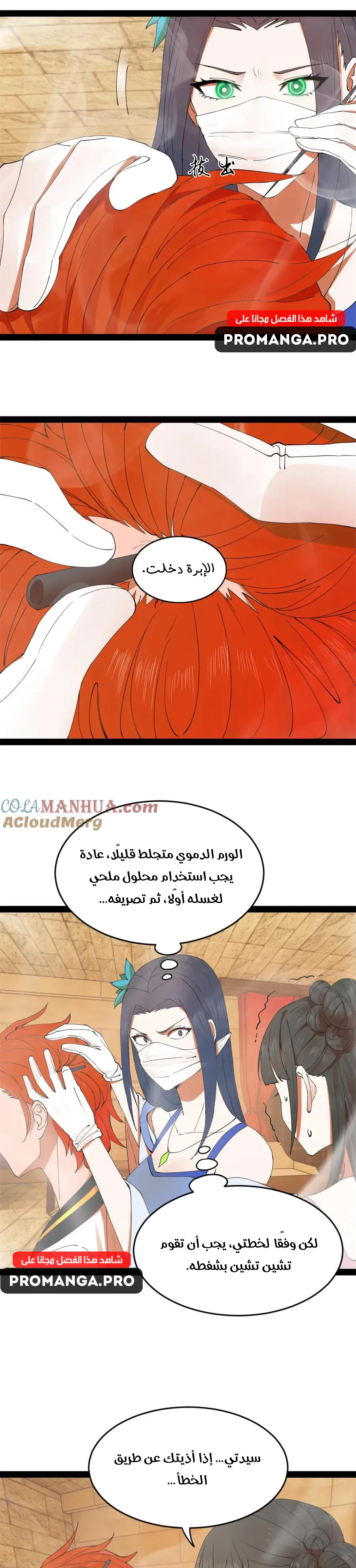 Chapter Image 11