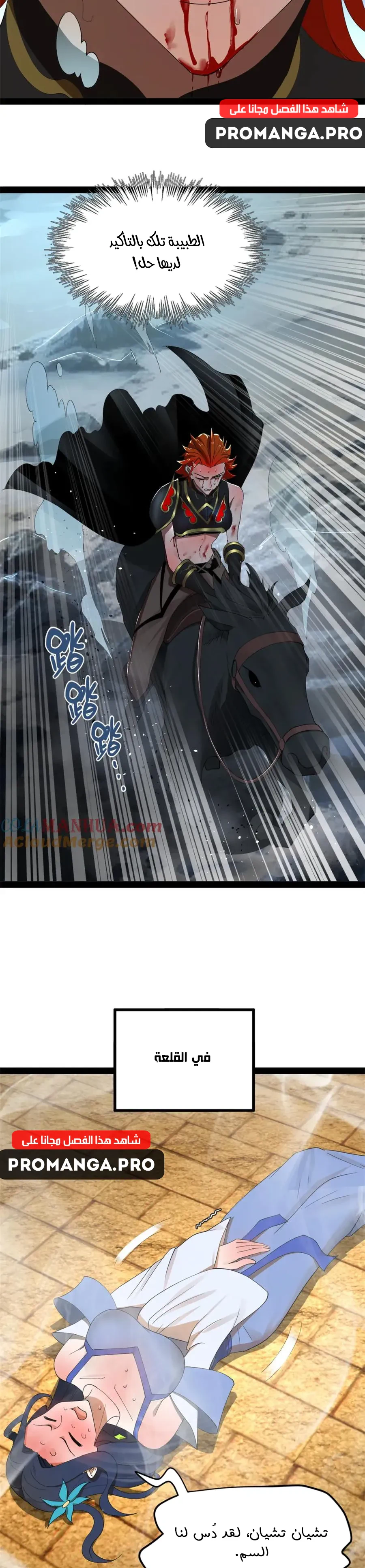 Chapter Image 11