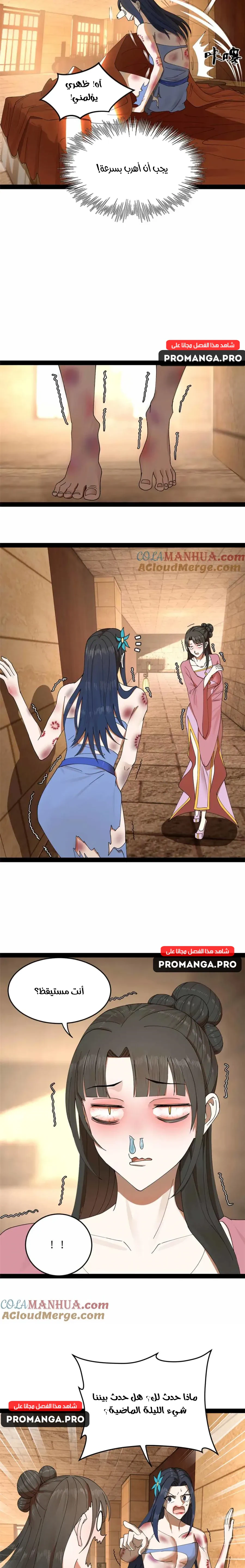 Chapter Image 11