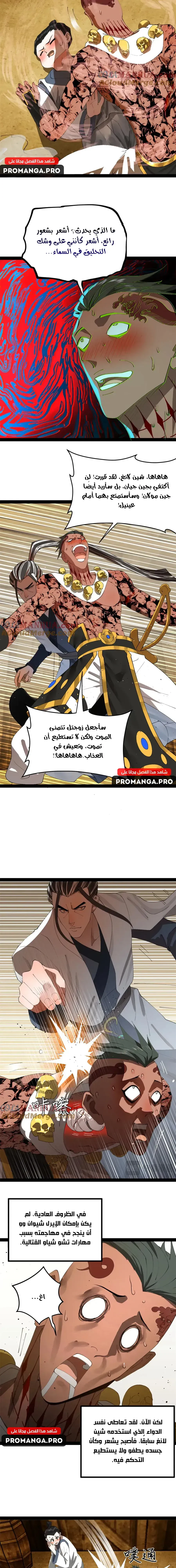 Chapter Image 5