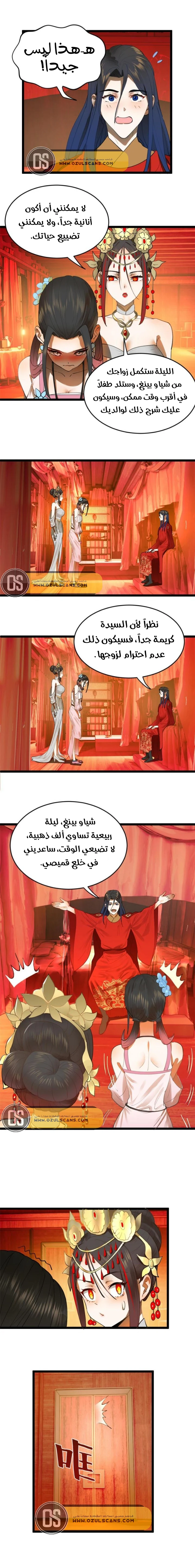 Chapter Image 5