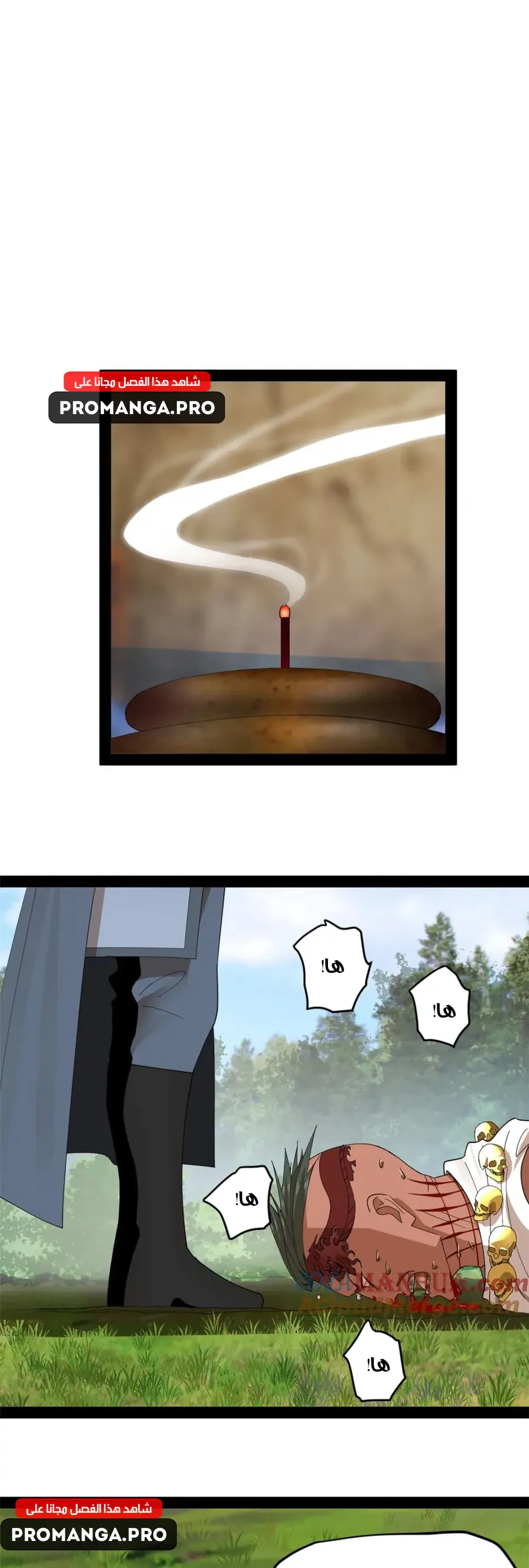 Chapter Image 12