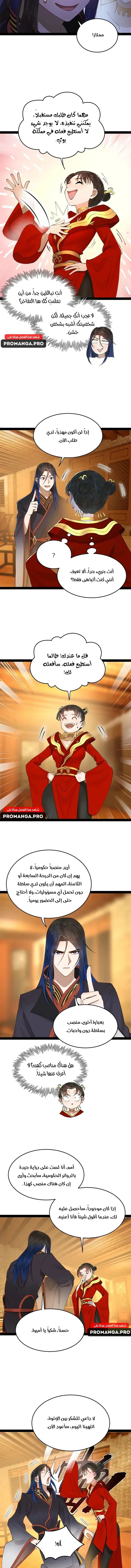 Chapter Image 7