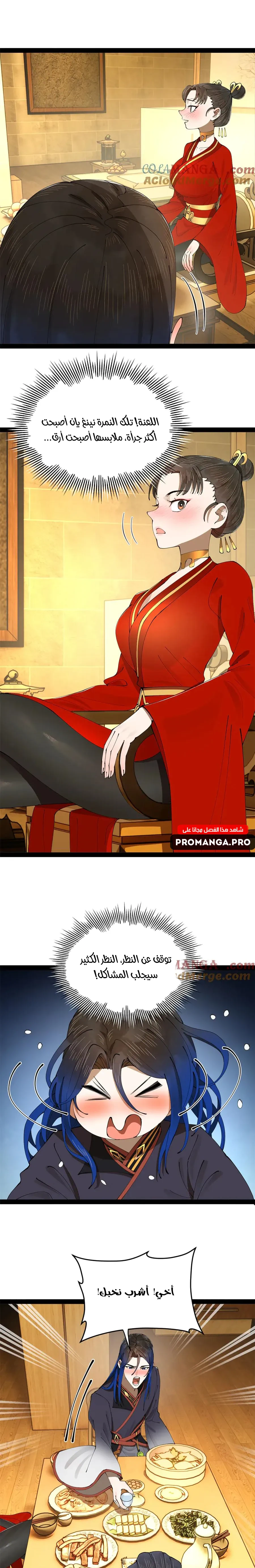 Chapter Image 13