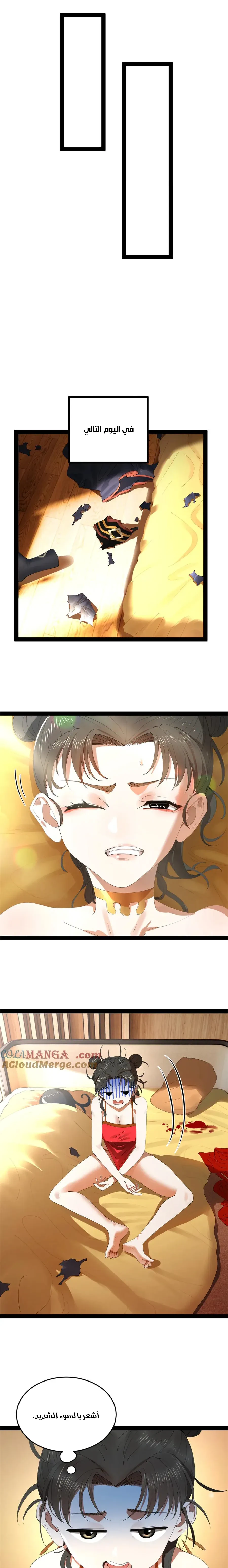 Chapter Image 4
