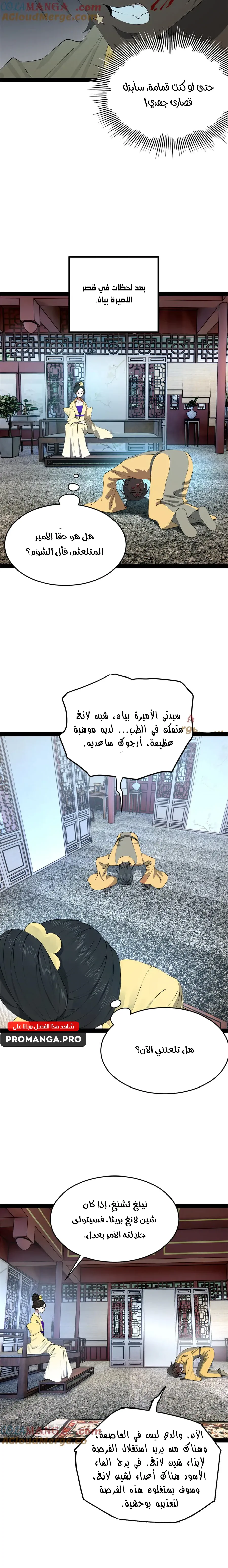 Chapter Image 2