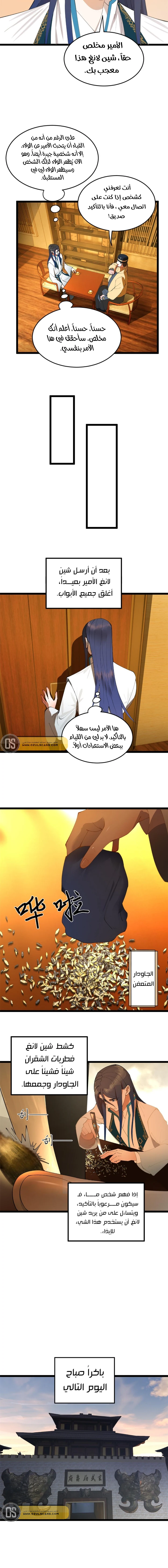 Chapter Image 3