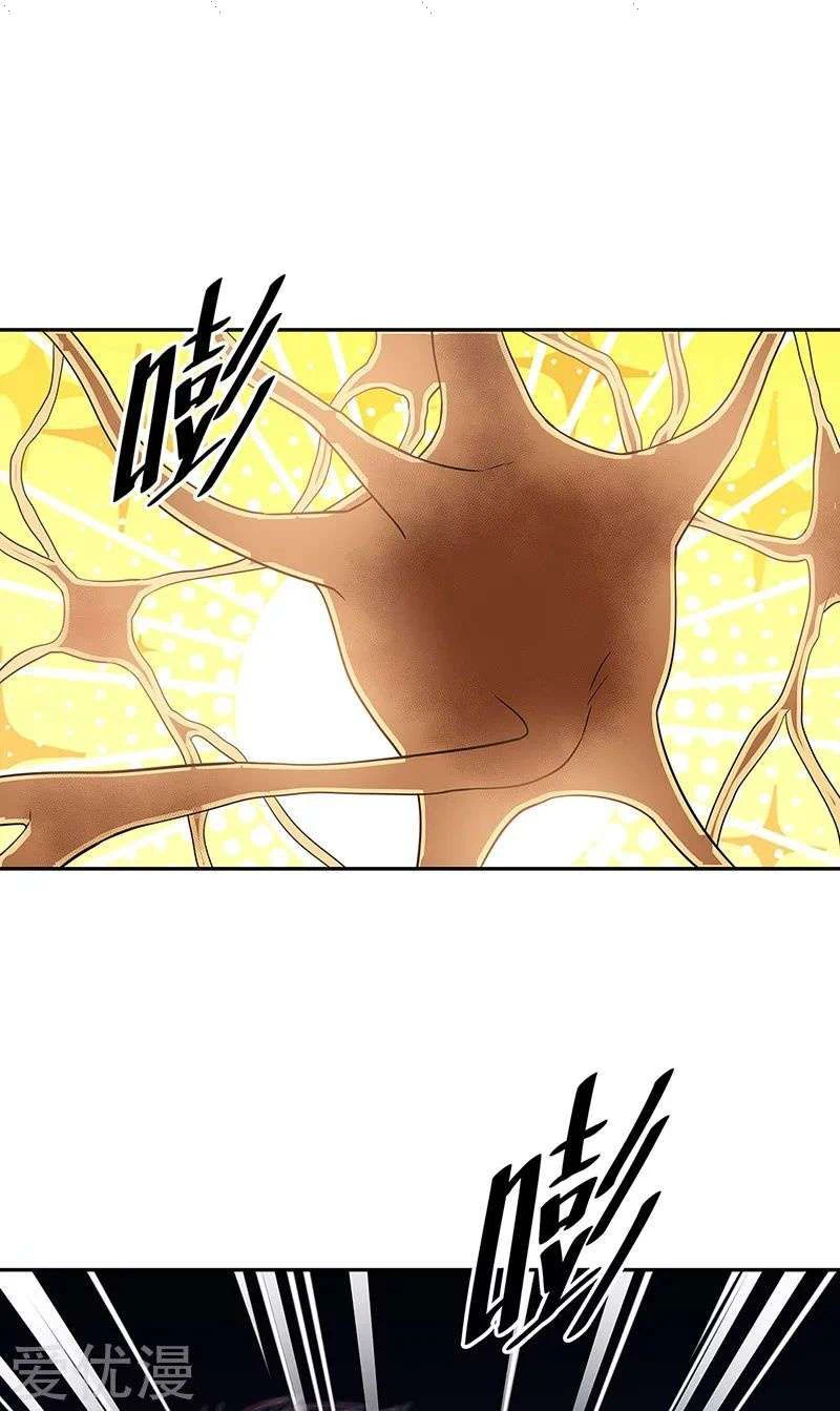 Chapter Image 3