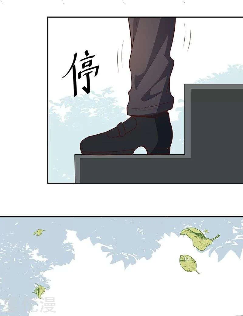 Chapter Image 20
