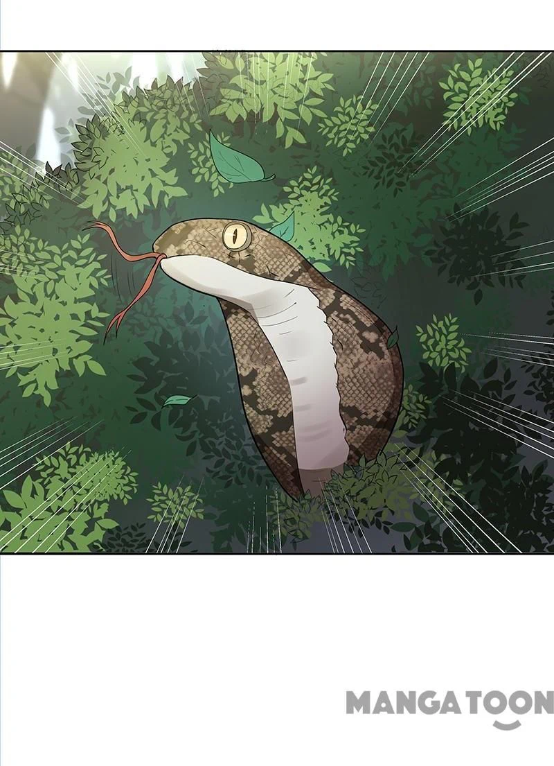 Chapter Image 22