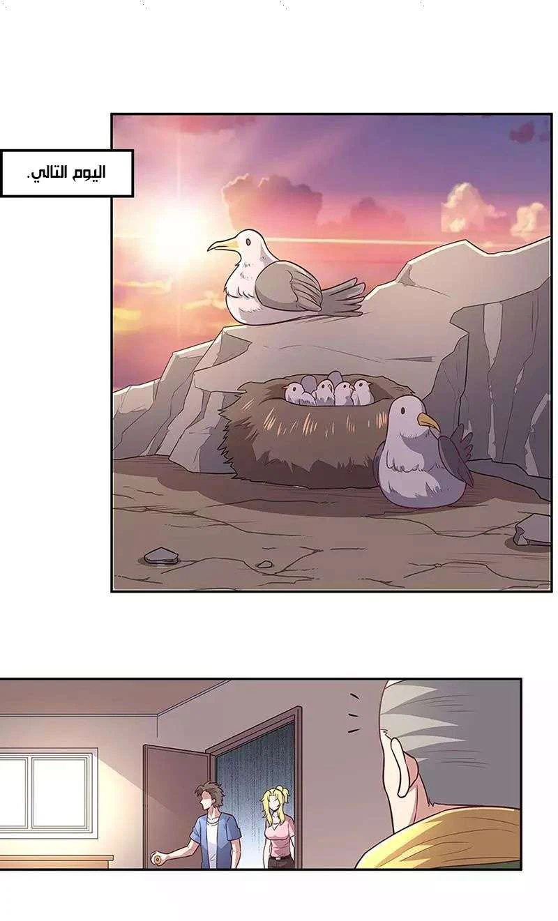 Chapter Image 14