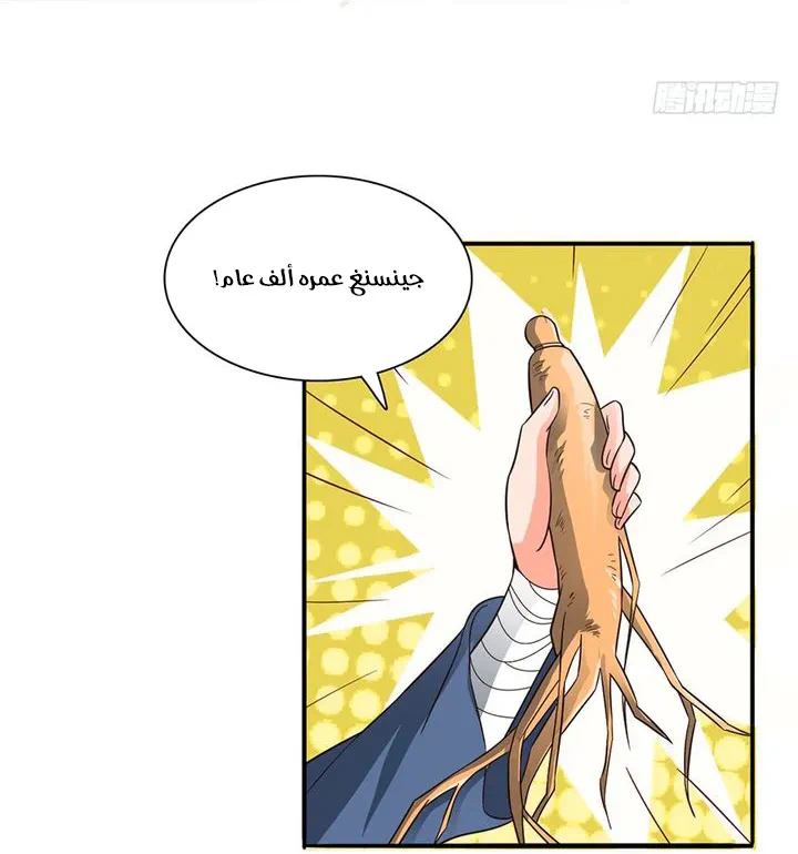 Chapter Image 5