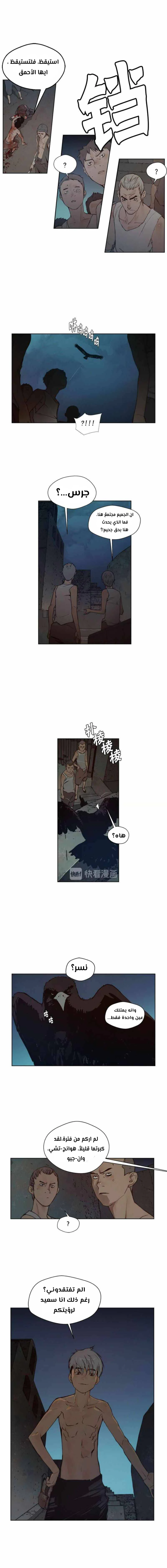 Chapter Image 17
