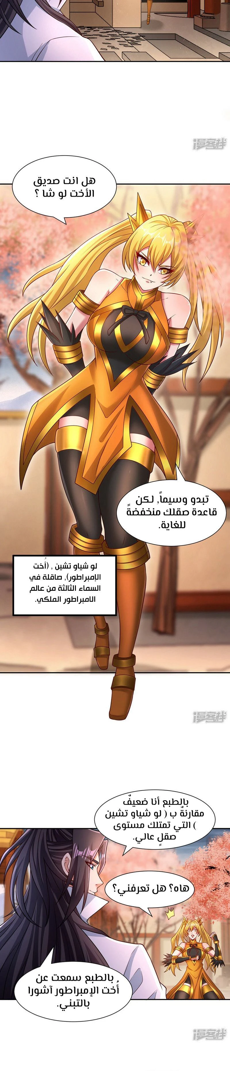Chapter Image 4