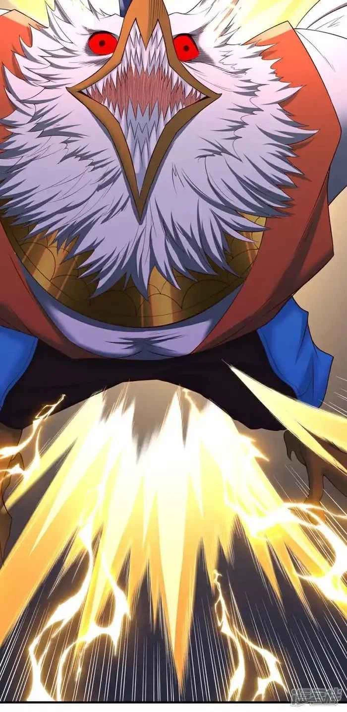 Chapter Image 5