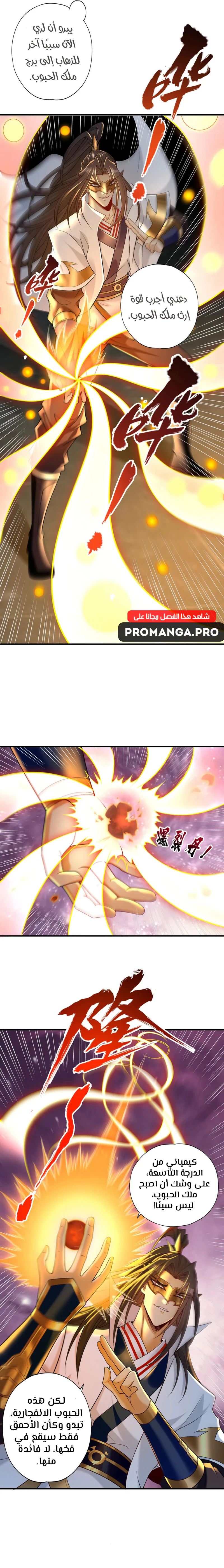 Chapter Image 3