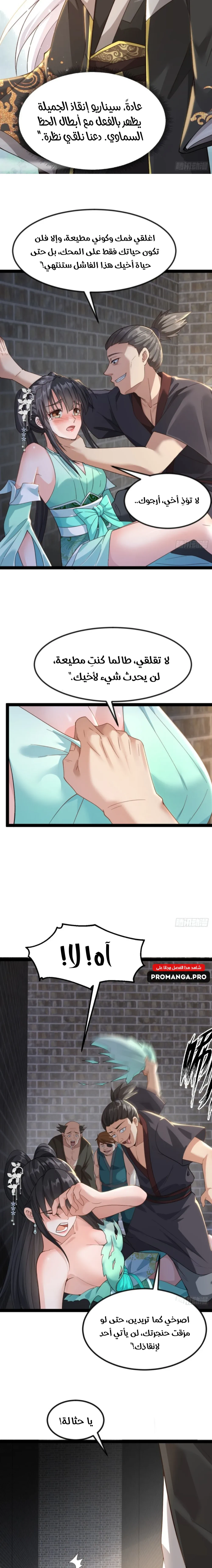 Chapter Image 5