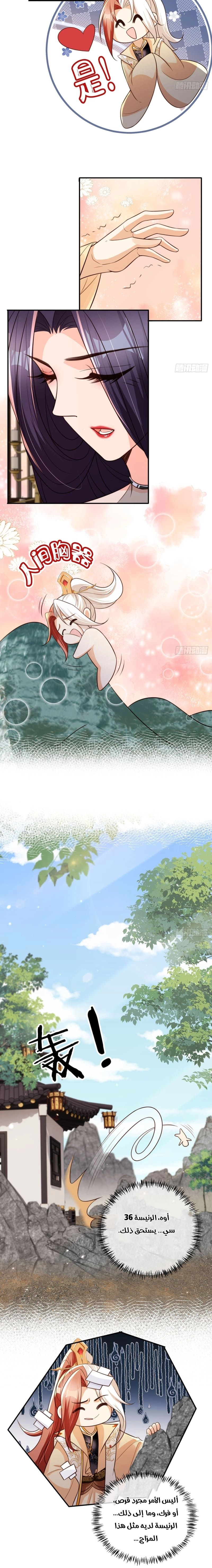 Chapter Image 4