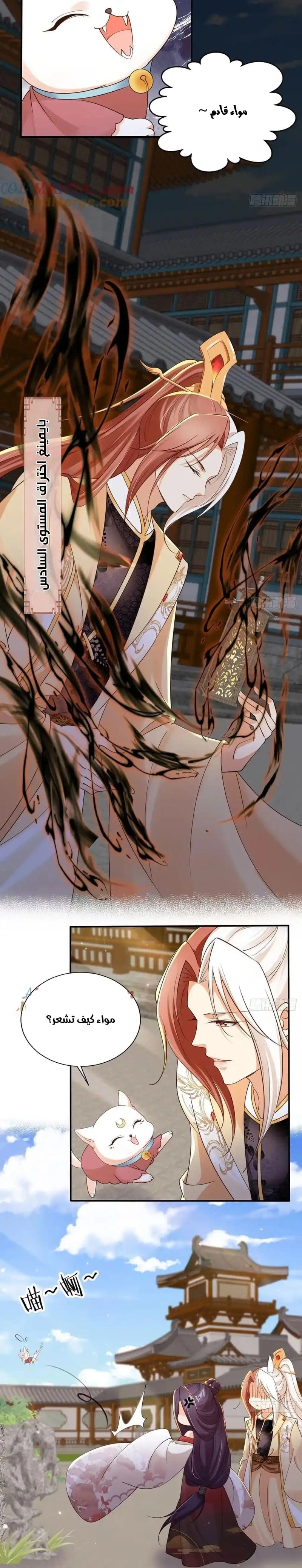Chapter Image 4